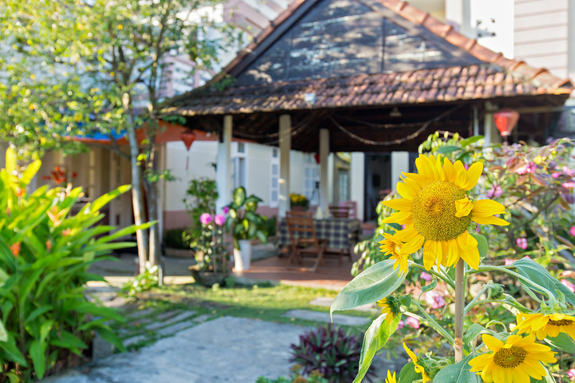 Do River Homestay Хоян Екстер'єр фото